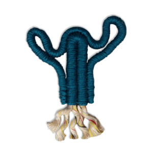 Macramé – kaktus
